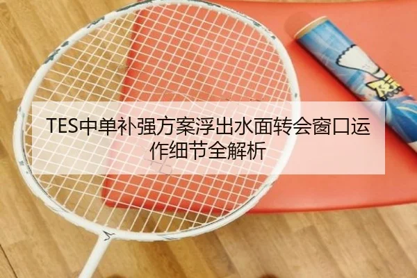 TES中单补强方案浮出水面转会窗口运作细节全解析 | Kaiyun